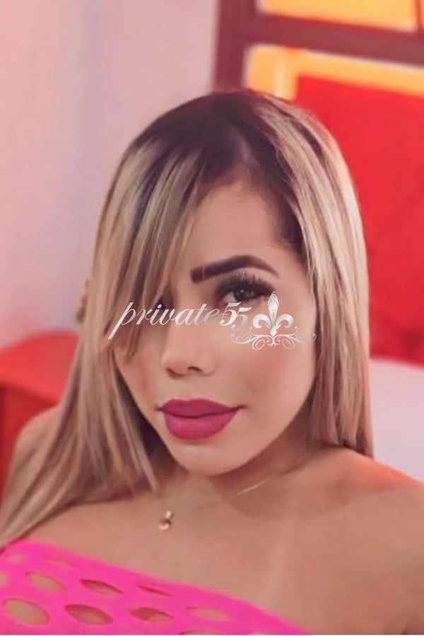 Bruna  Carioca, garota de programa, foto 6